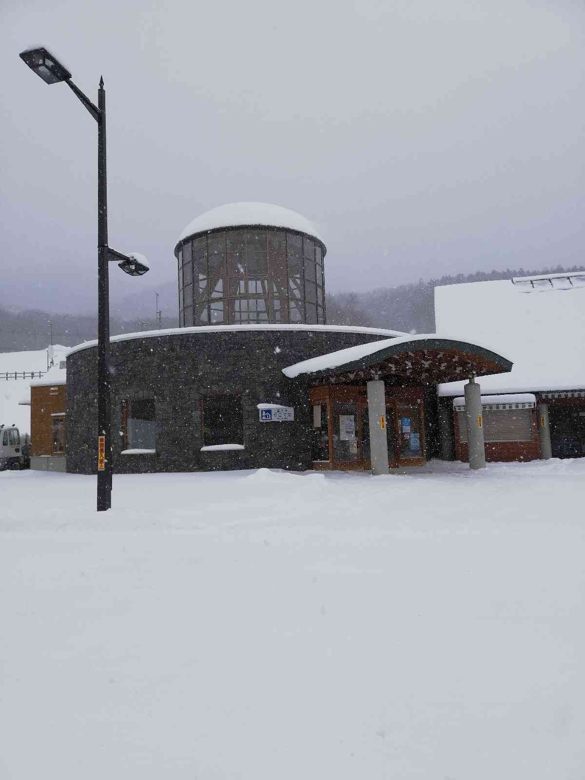 投稿された画像