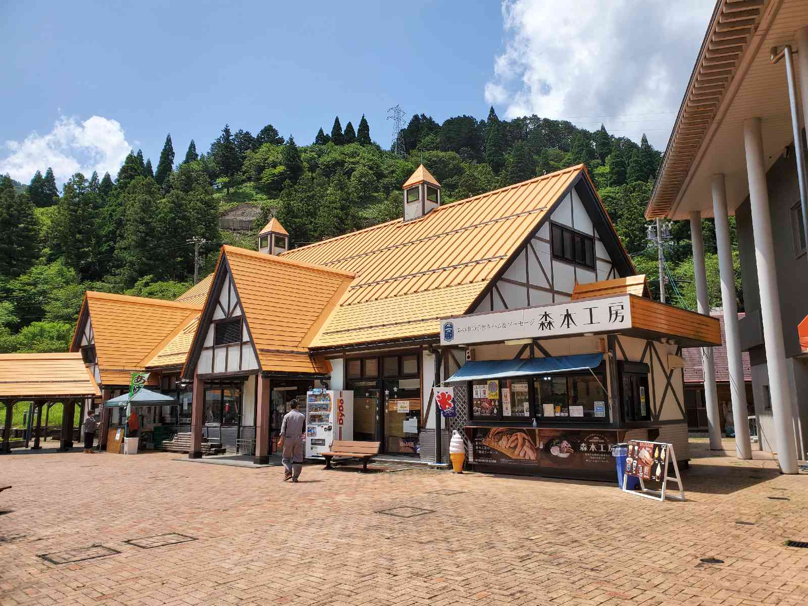 投稿された画像