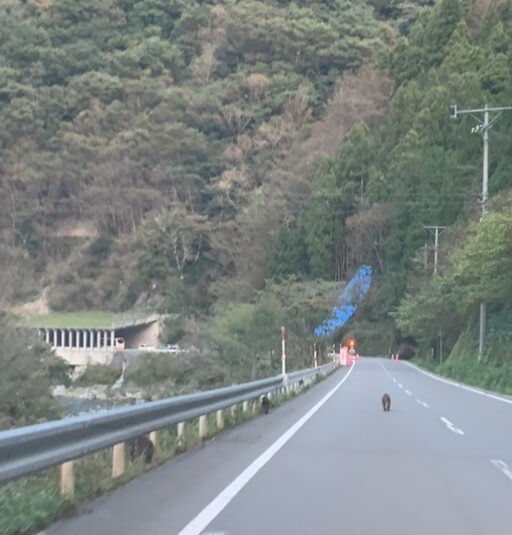 投稿された画像