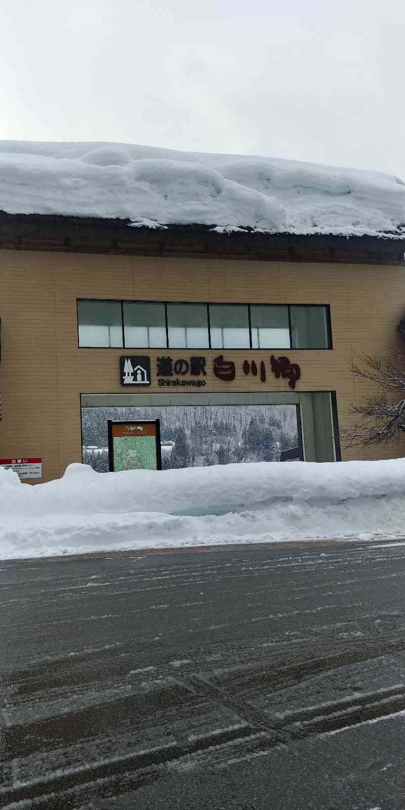投稿された画像