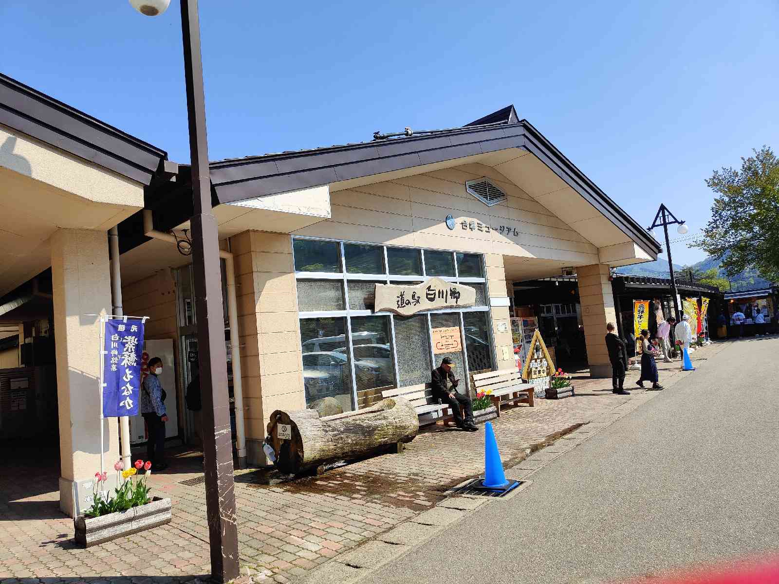 投稿された画像