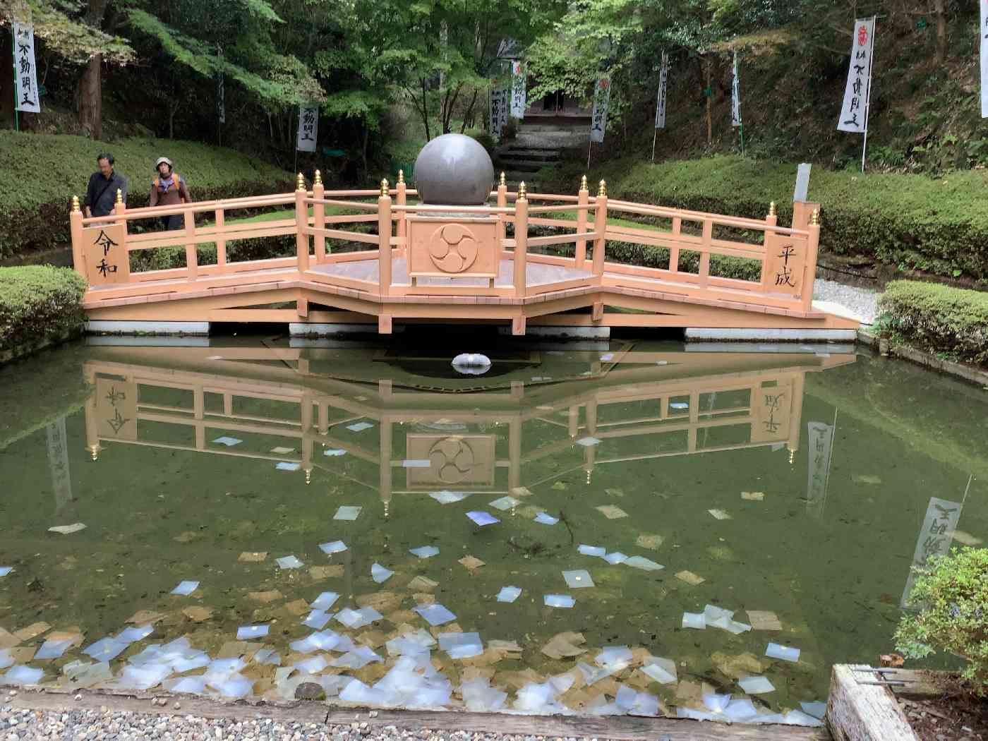 投稿された画像