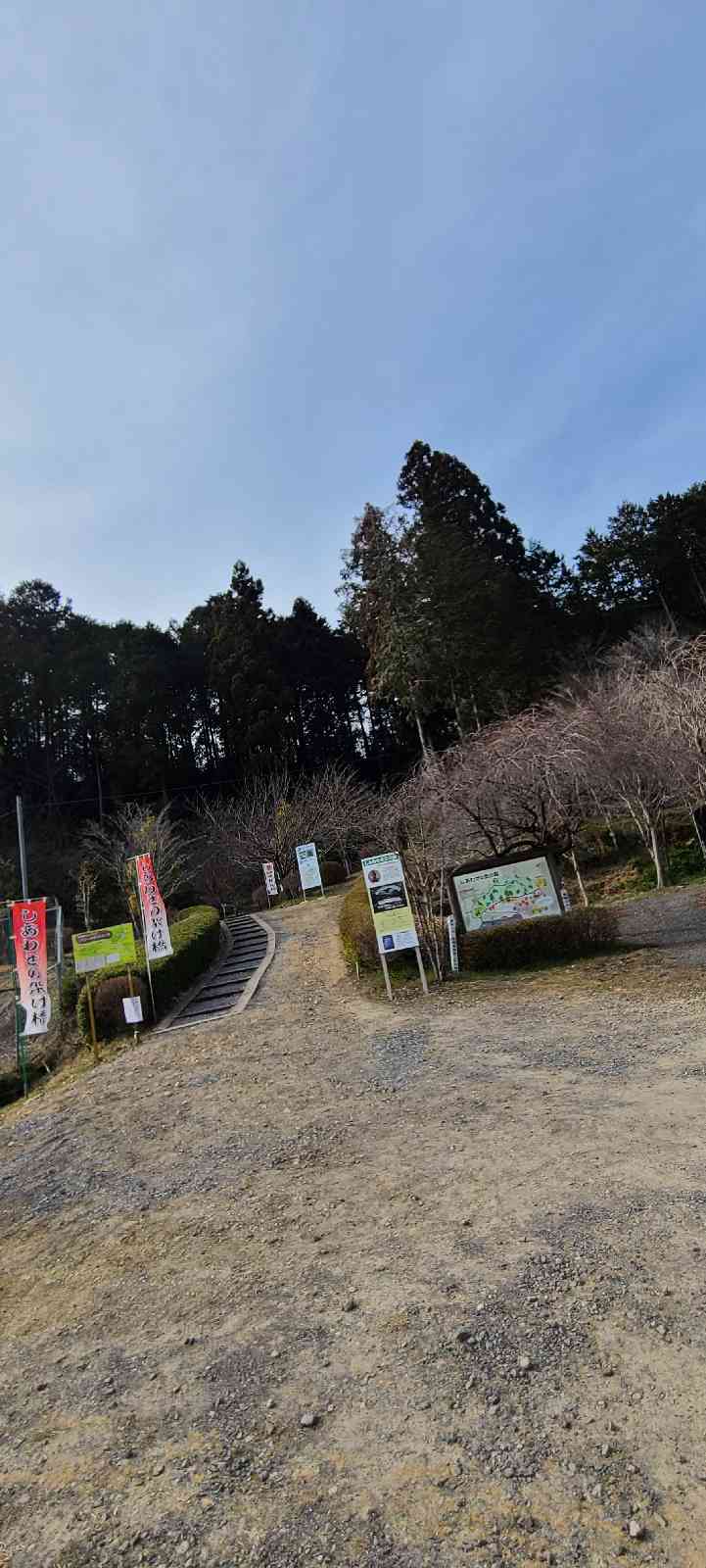 投稿された画像