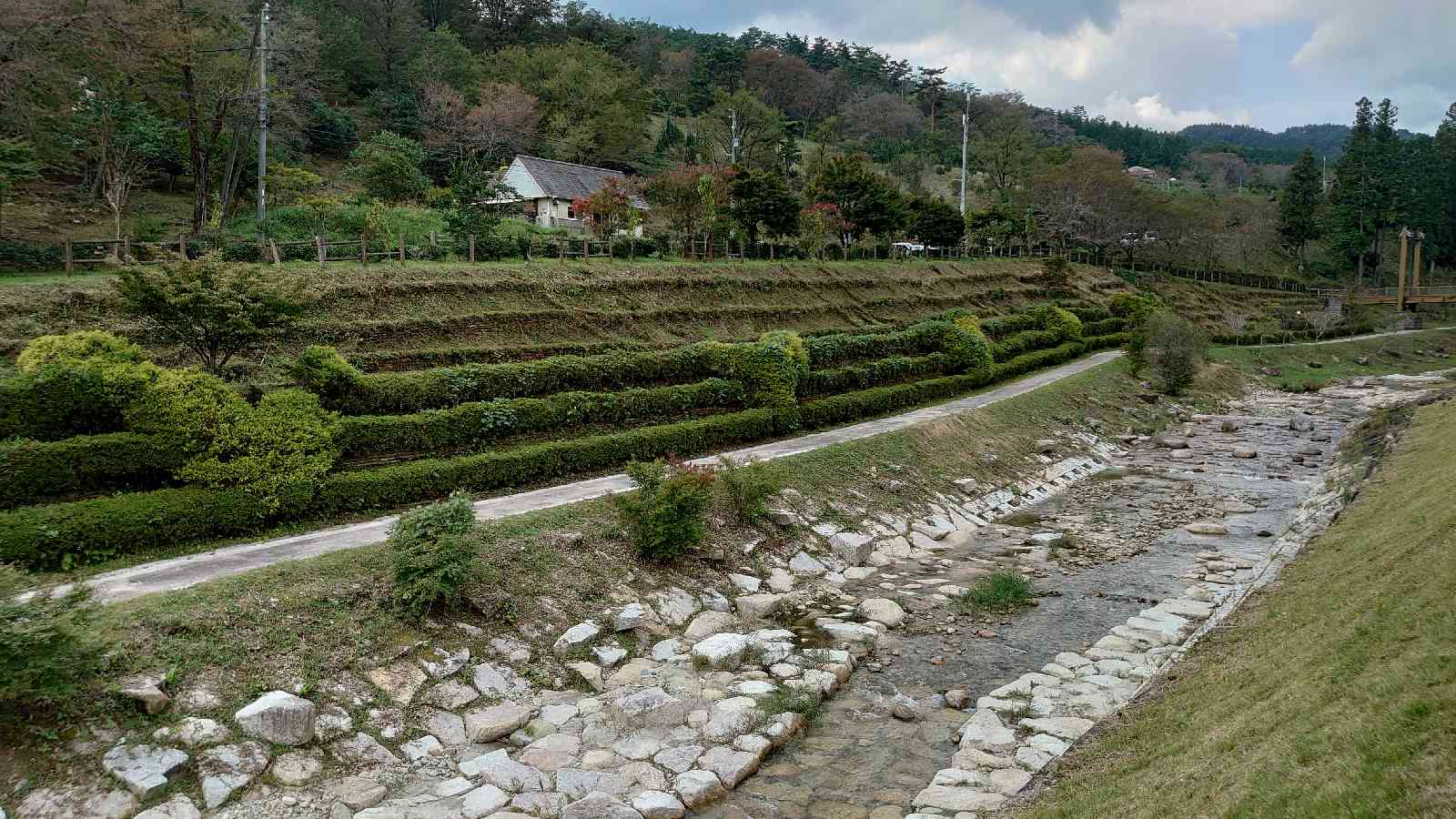 投稿された画像