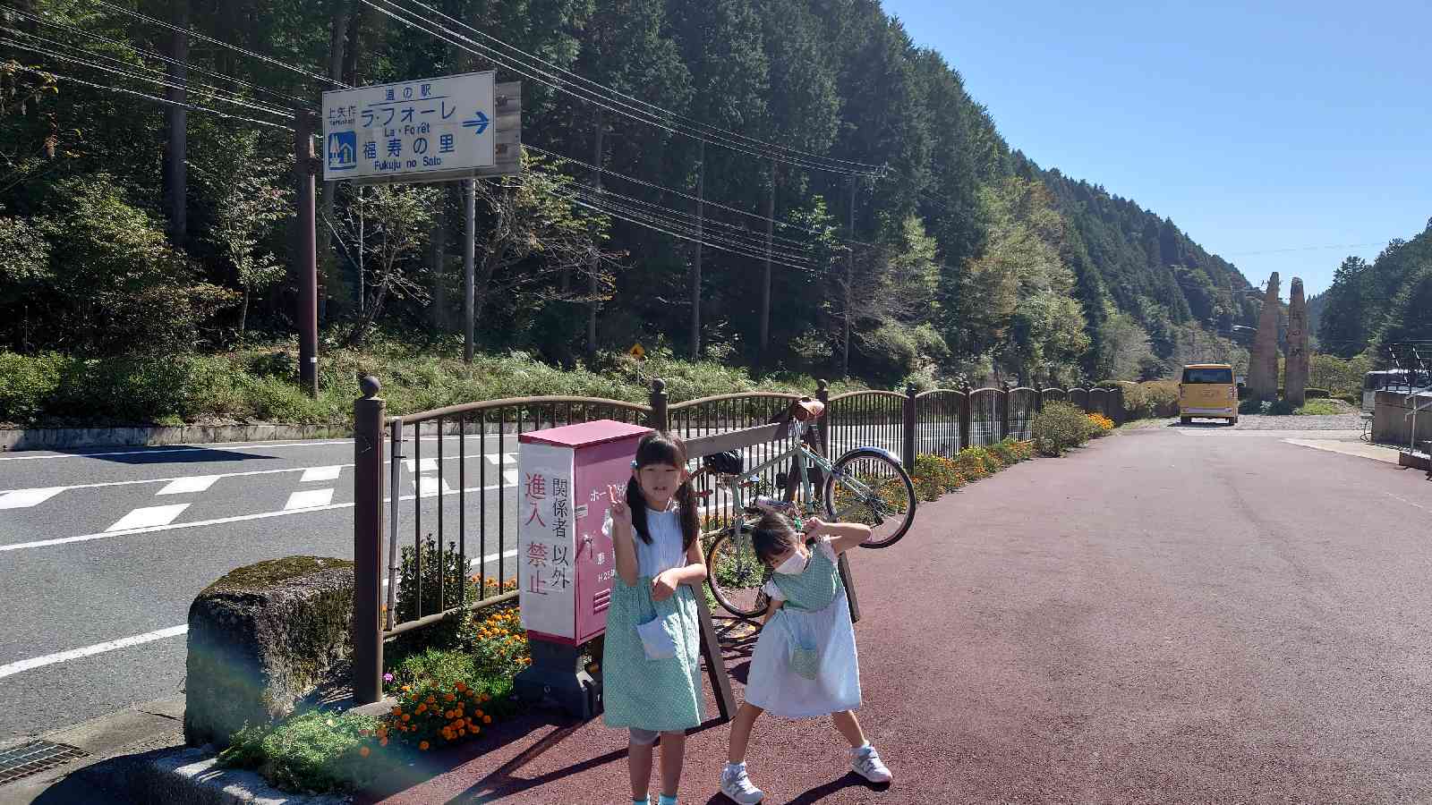 投稿された画像
