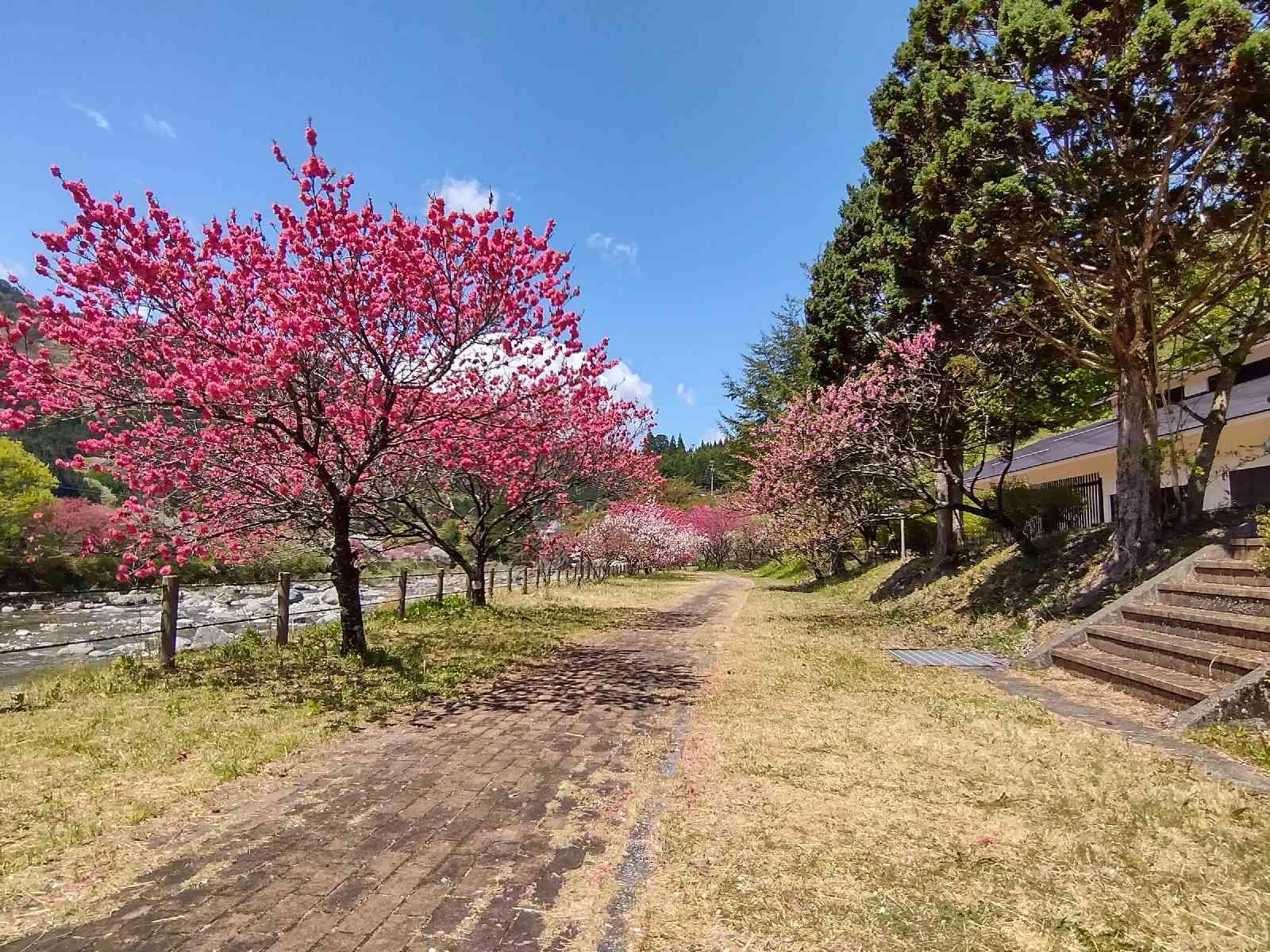 道の駅 南飛騨小坂の写真