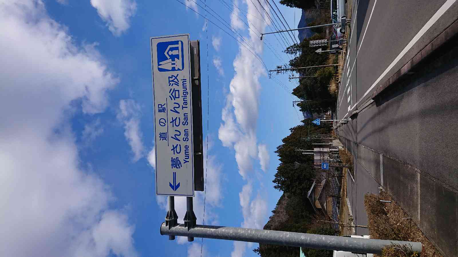 投稿された画像