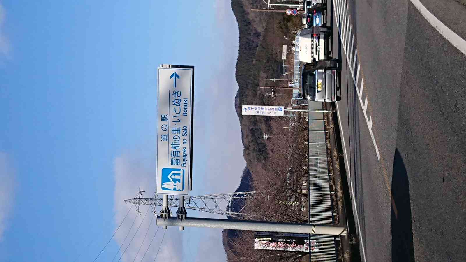 投稿された画像
