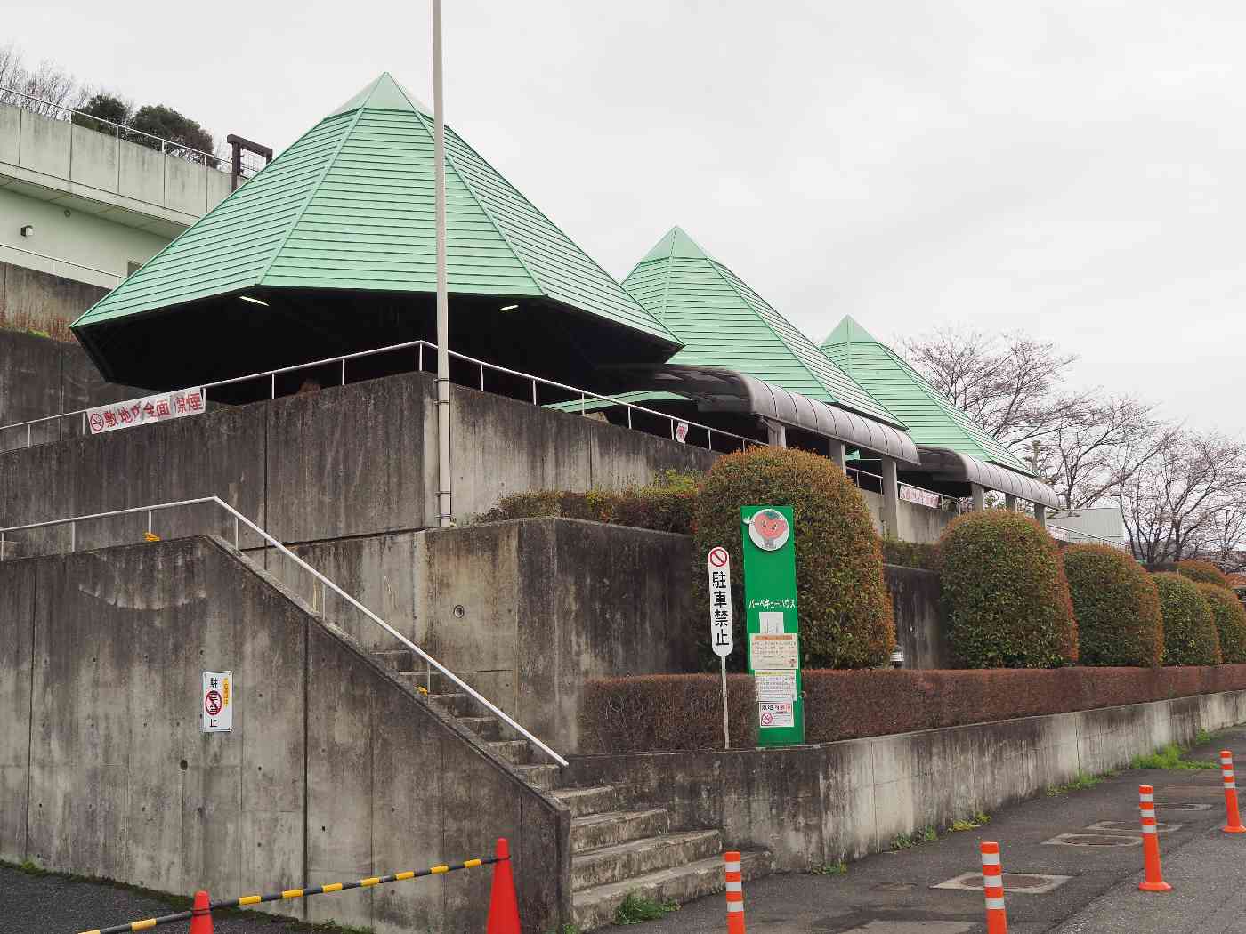 投稿された画像
