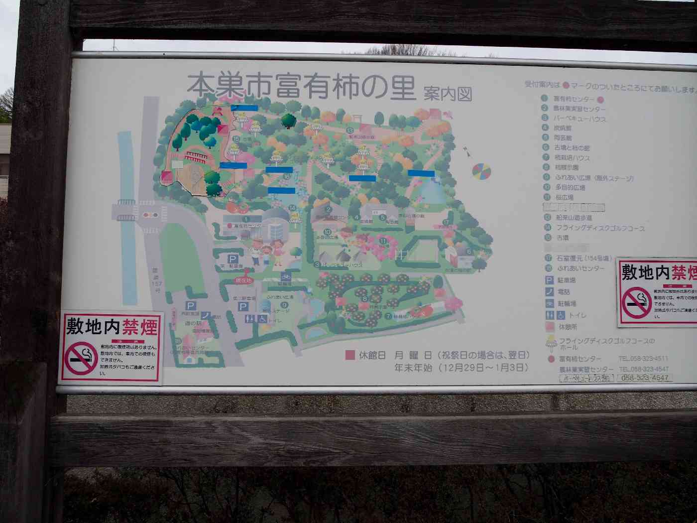 投稿された画像
