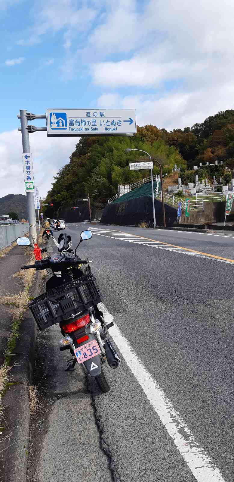 投稿された画像