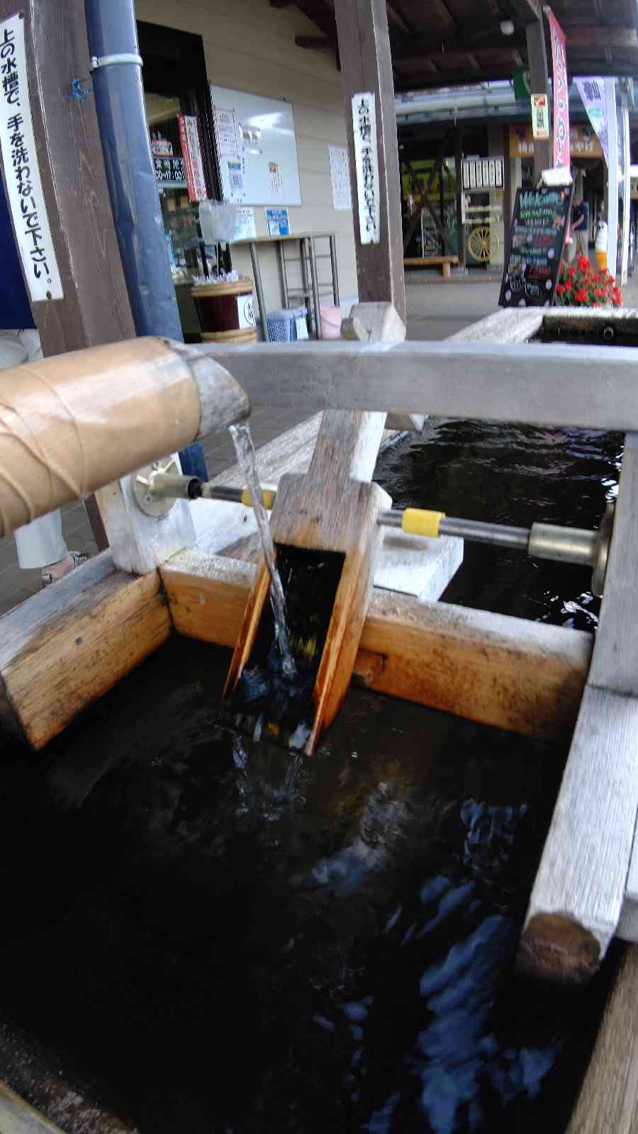 投稿された画像