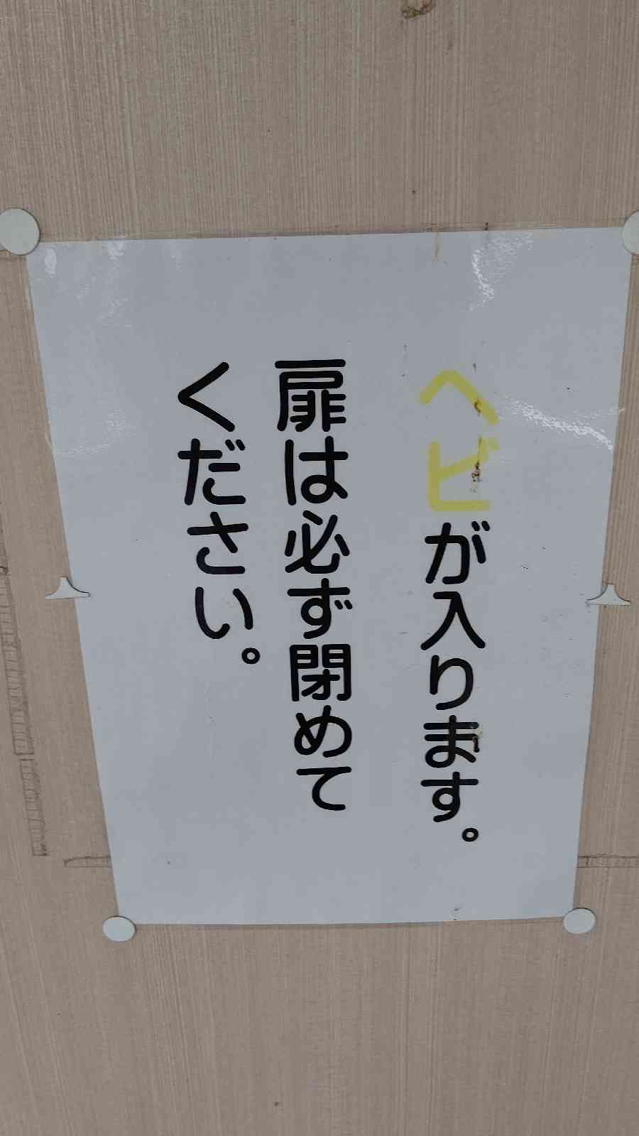 投稿された画像