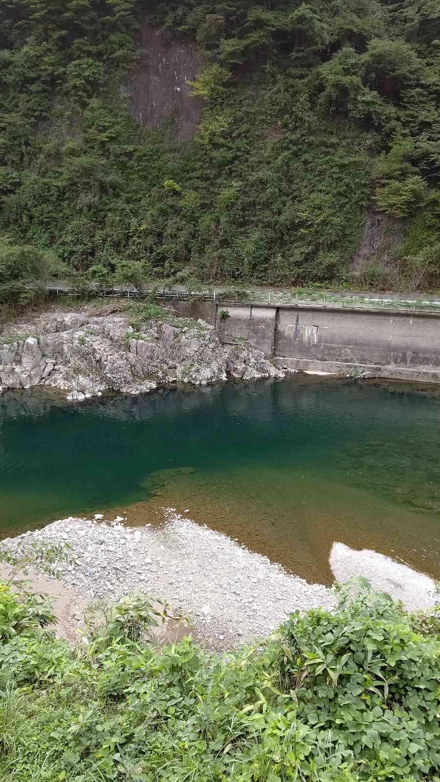 投稿された画像