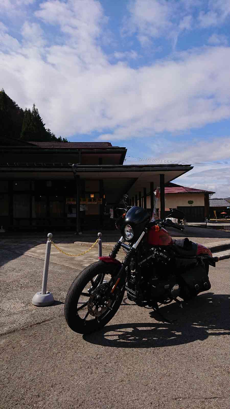 投稿された画像