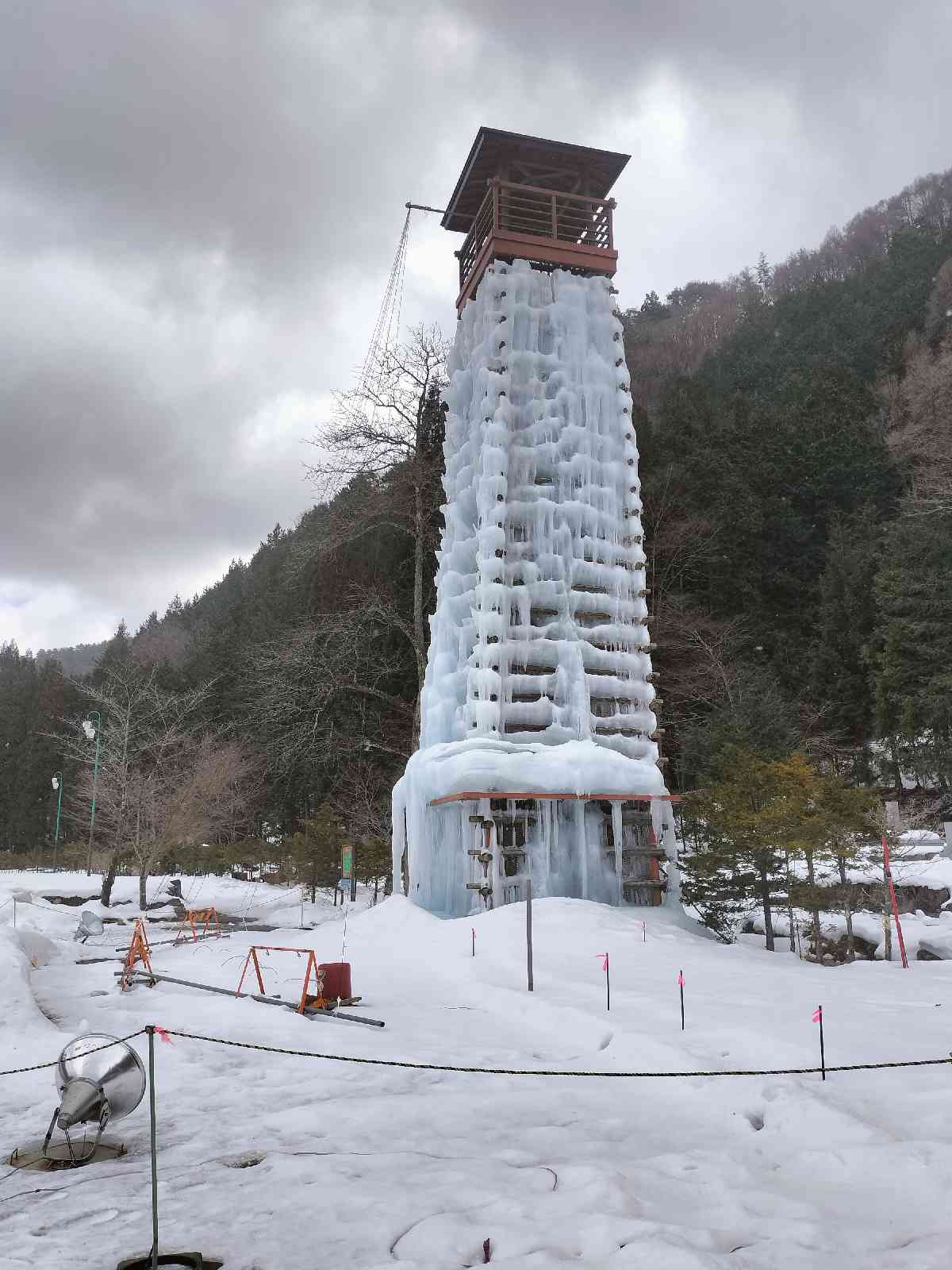 投稿された画像