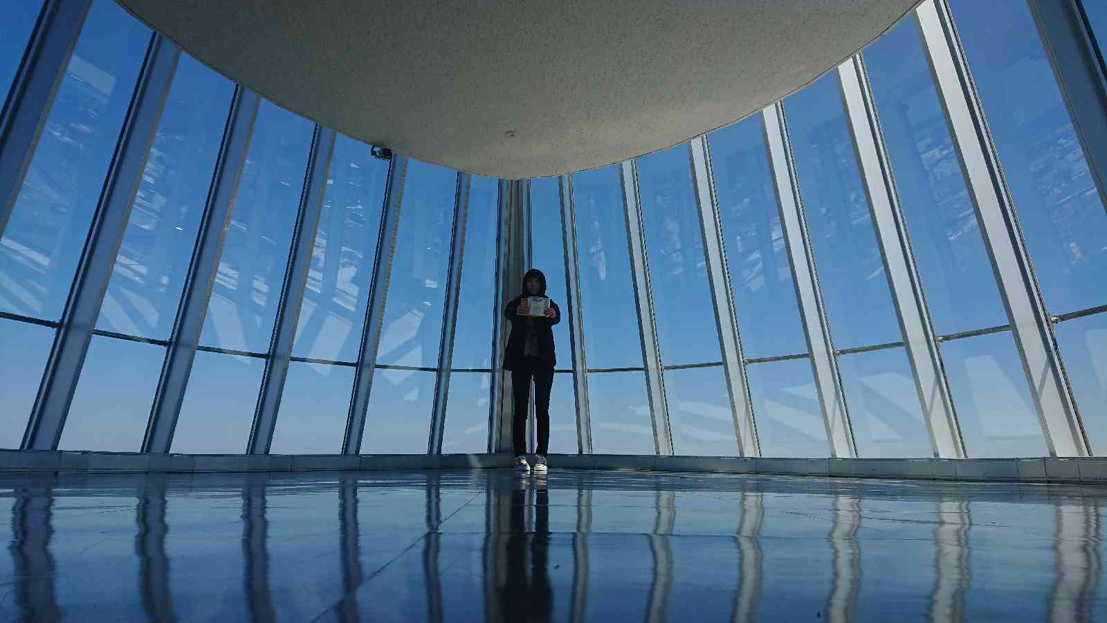 投稿された画像