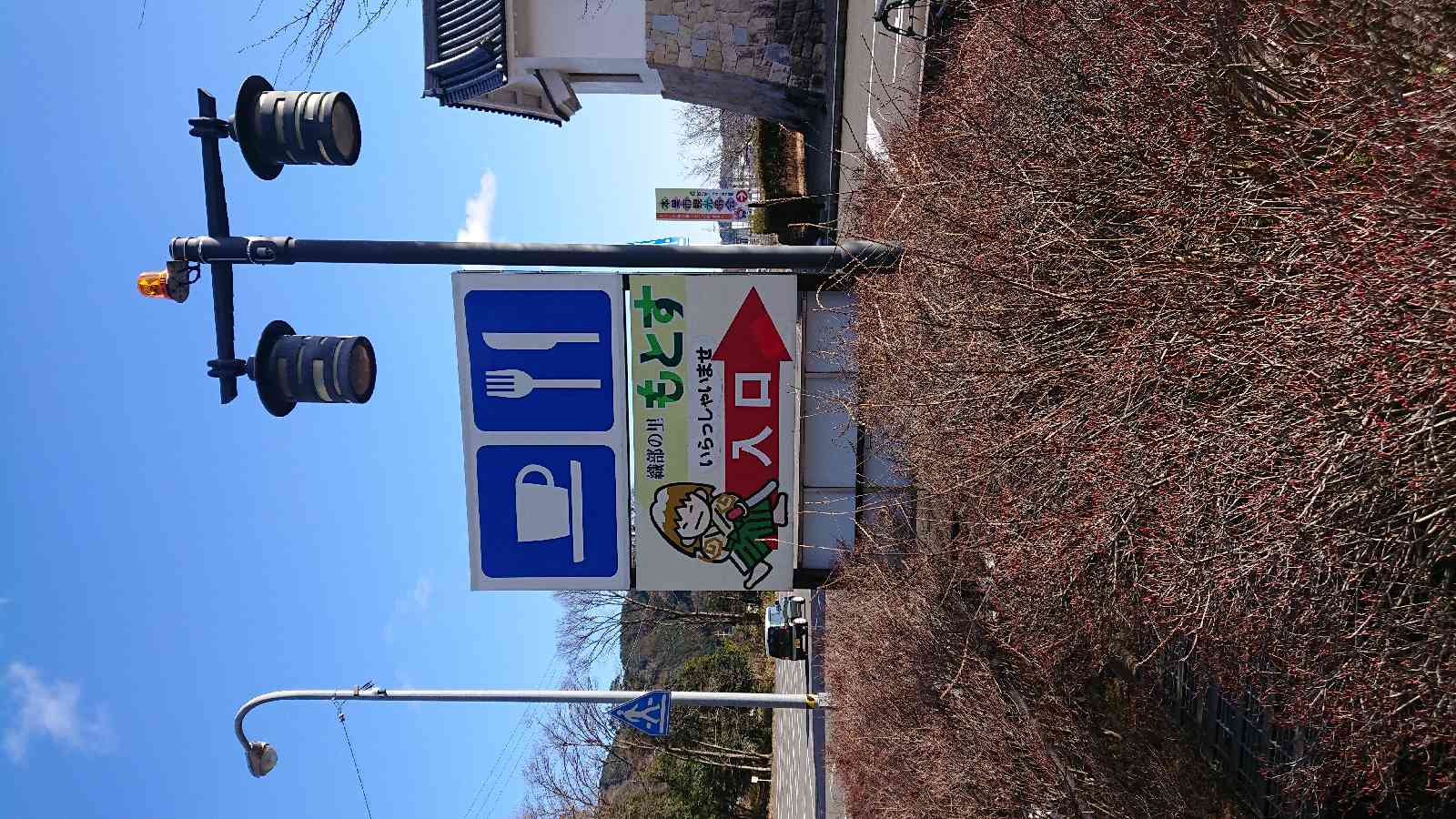 投稿された画像