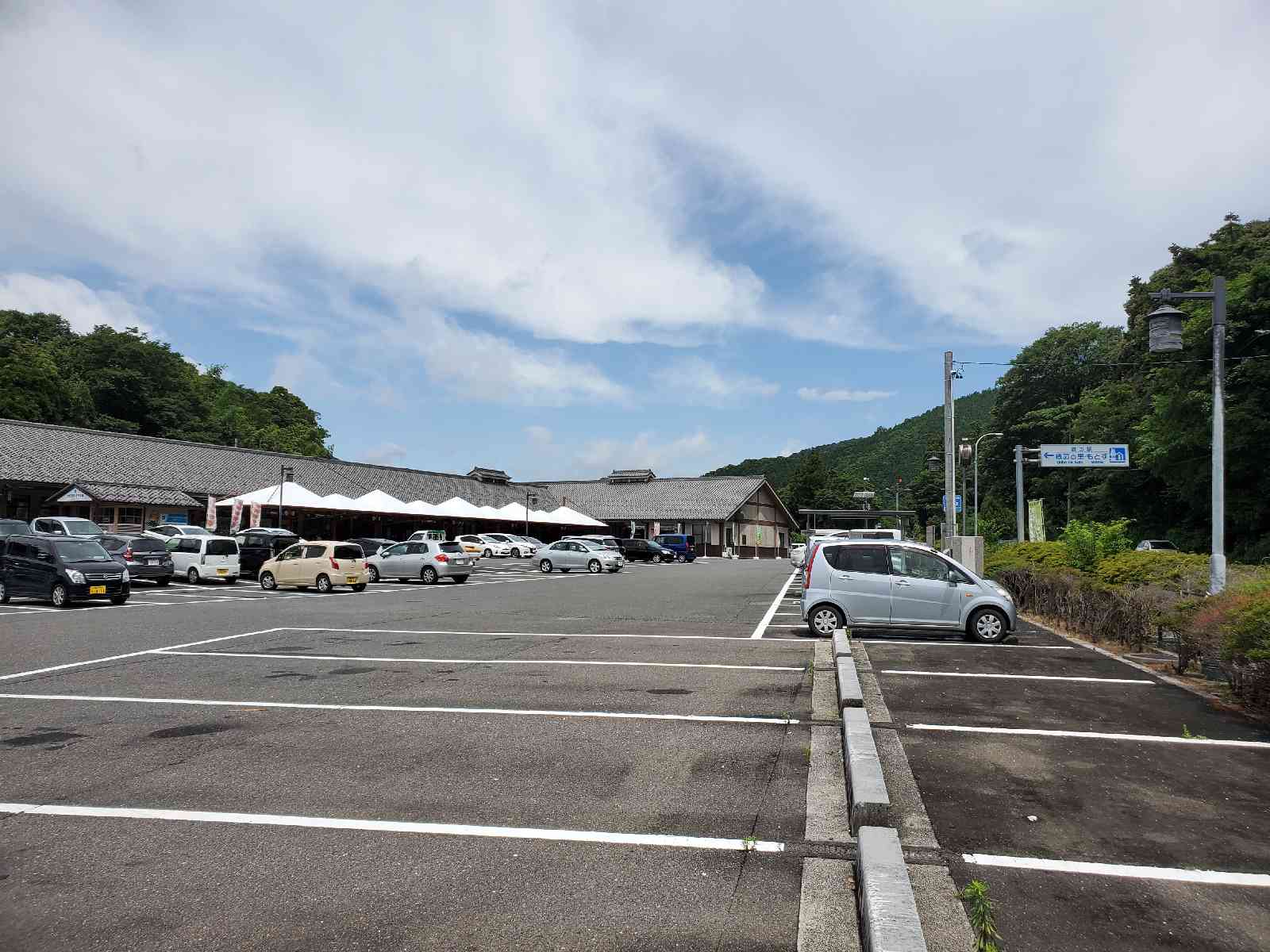 投稿された画像