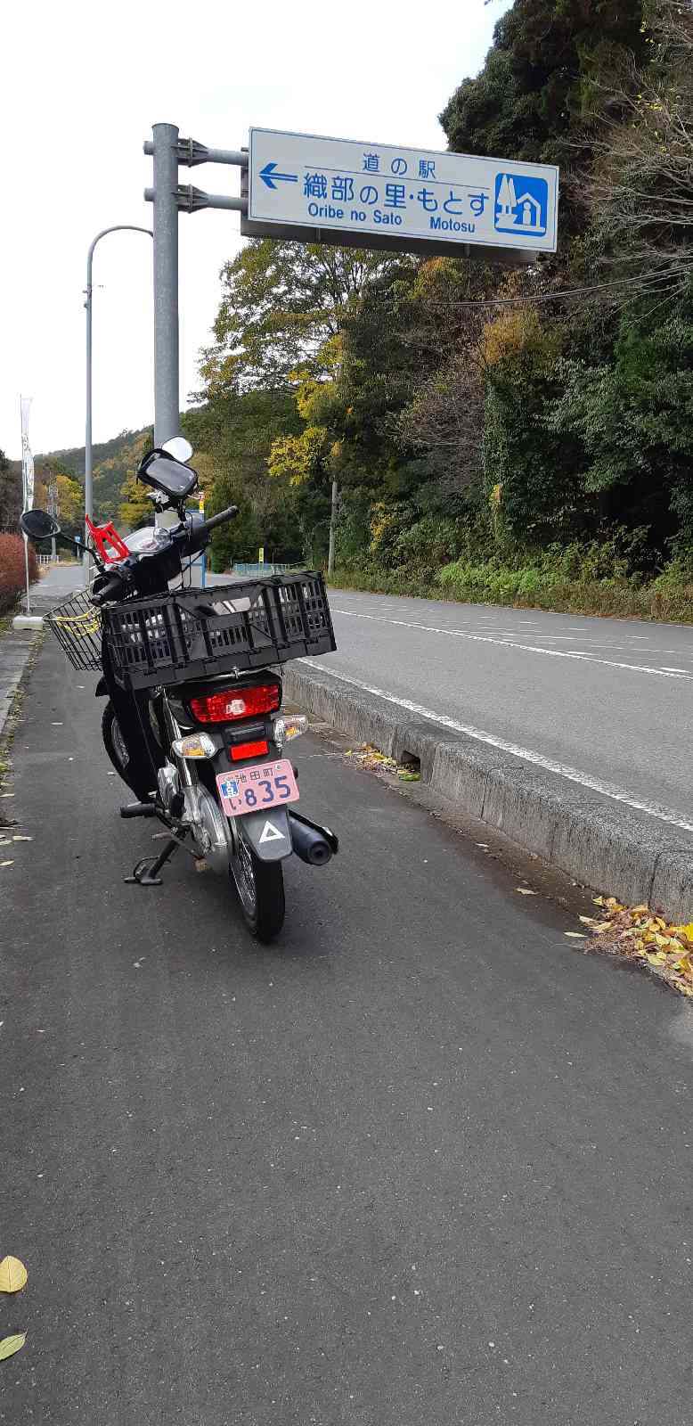 投稿された画像