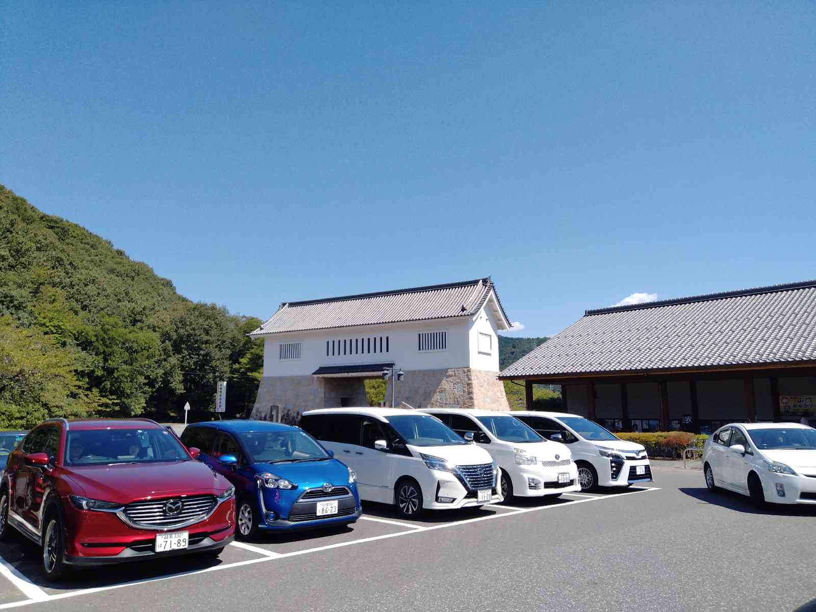 投稿された画像