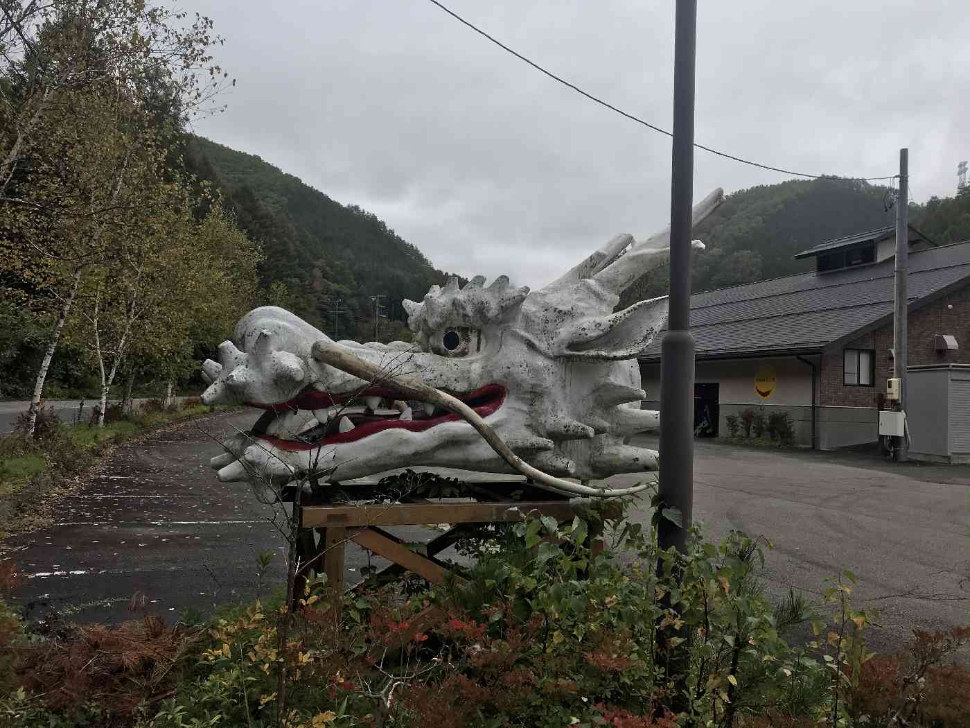 投稿された画像