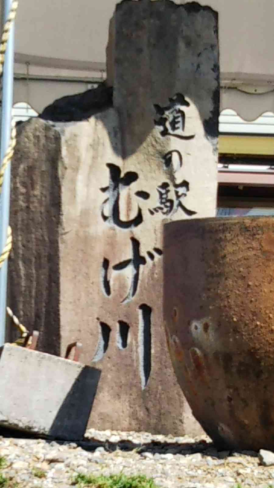 投稿された画像