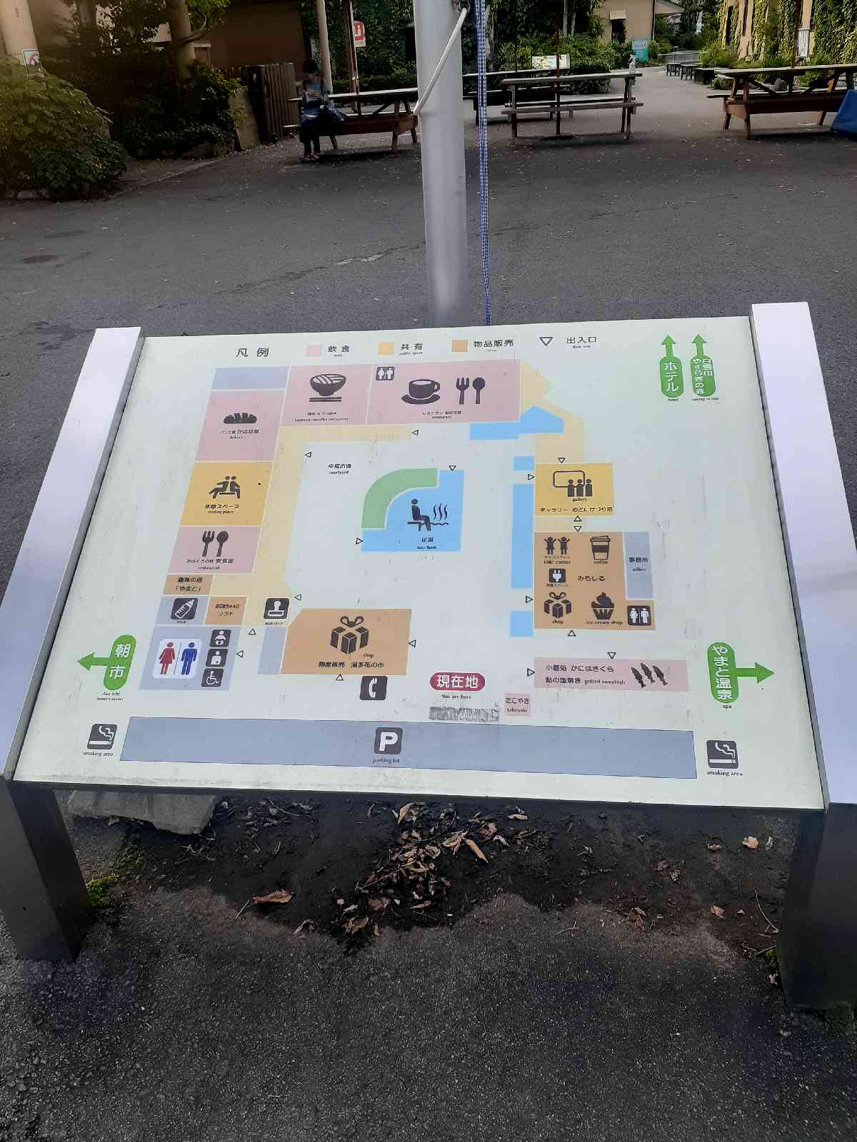 投稿された画像