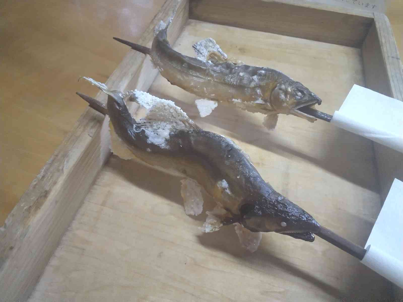 投稿された画像