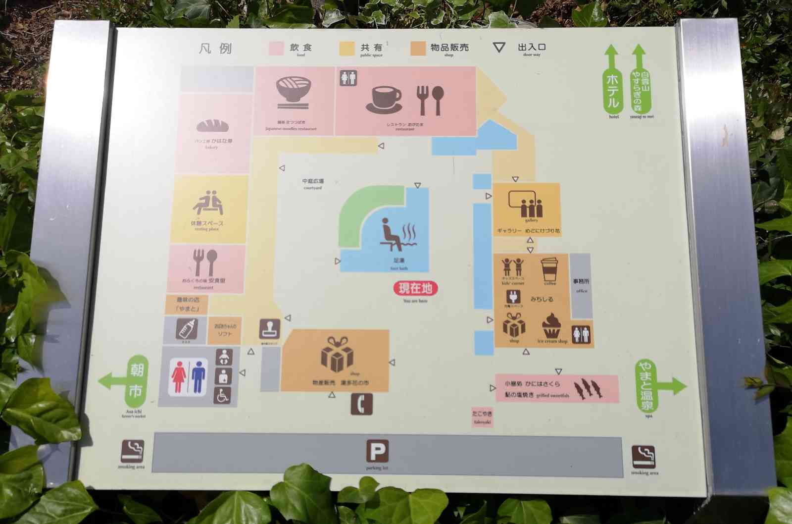 投稿された画像