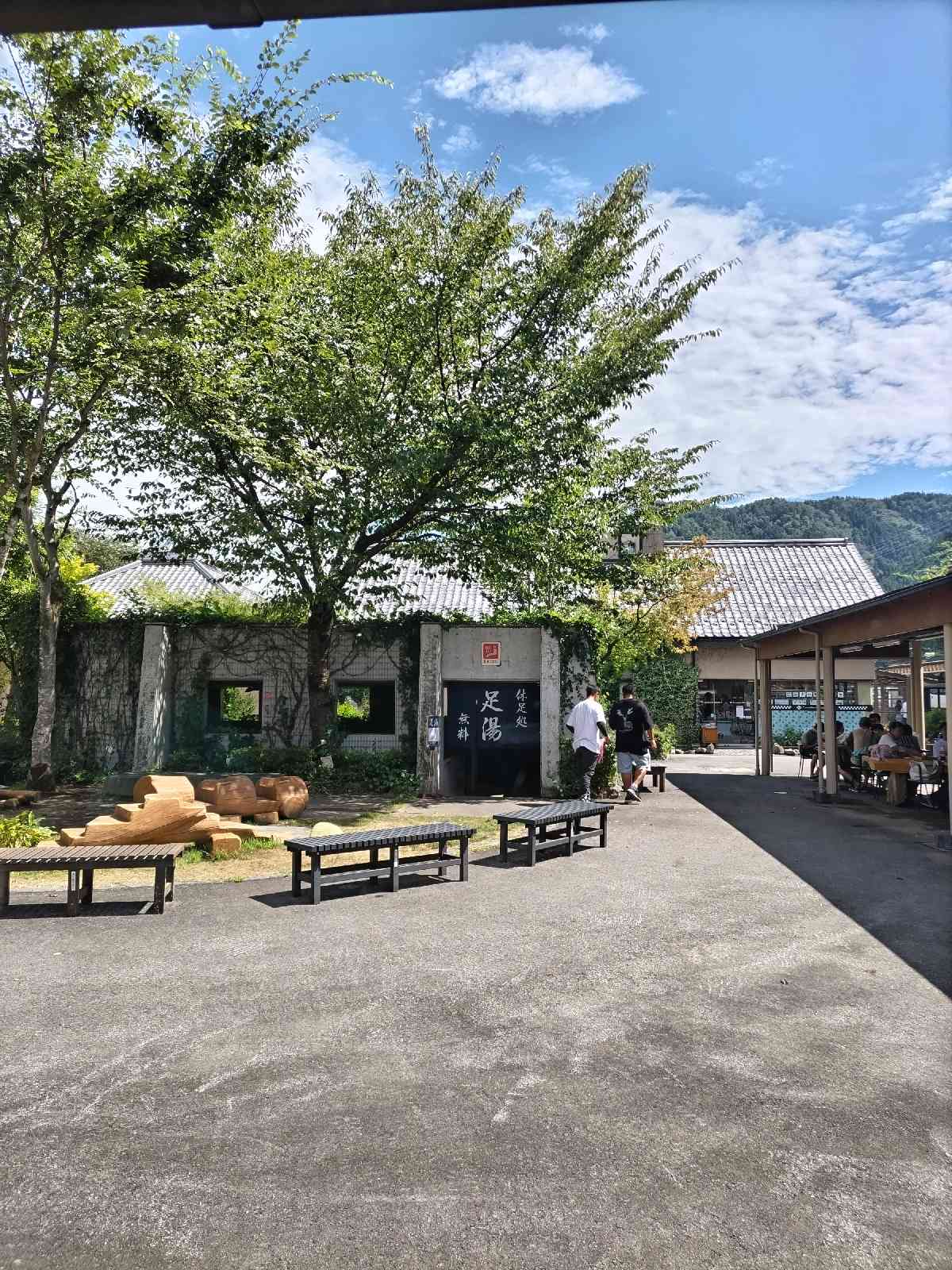 投稿された画像