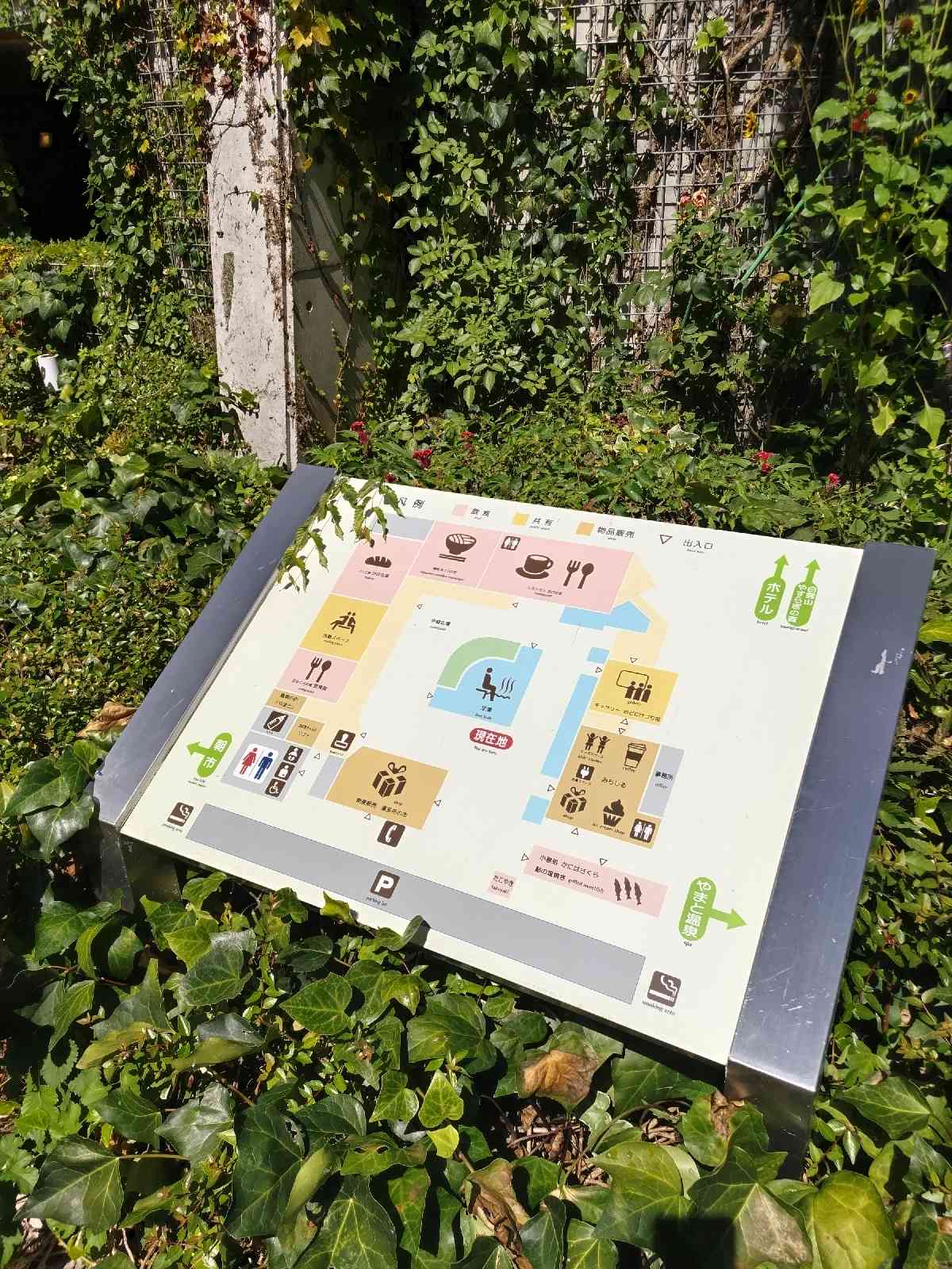 投稿された画像