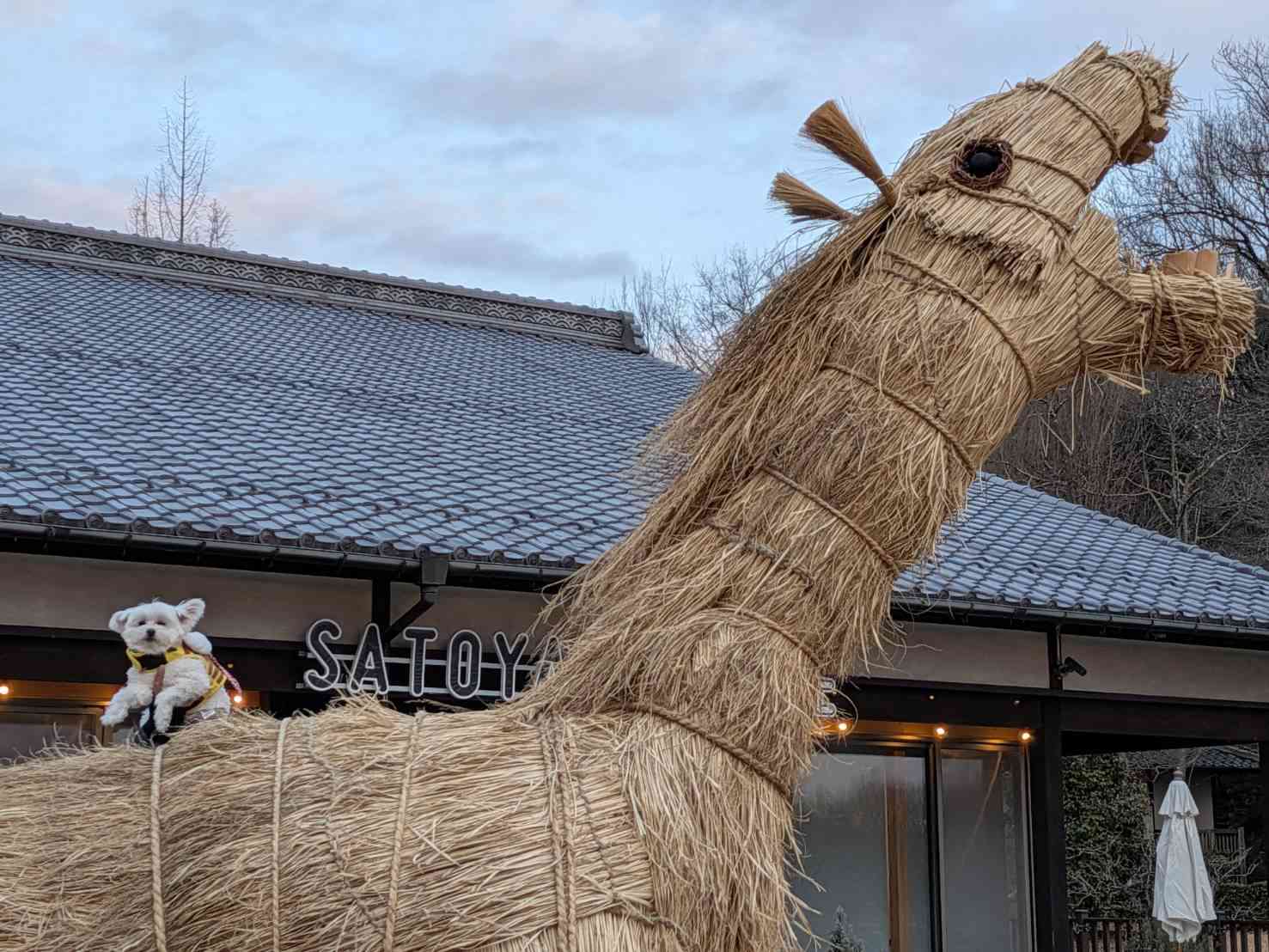 道の駅 みのかもの写真