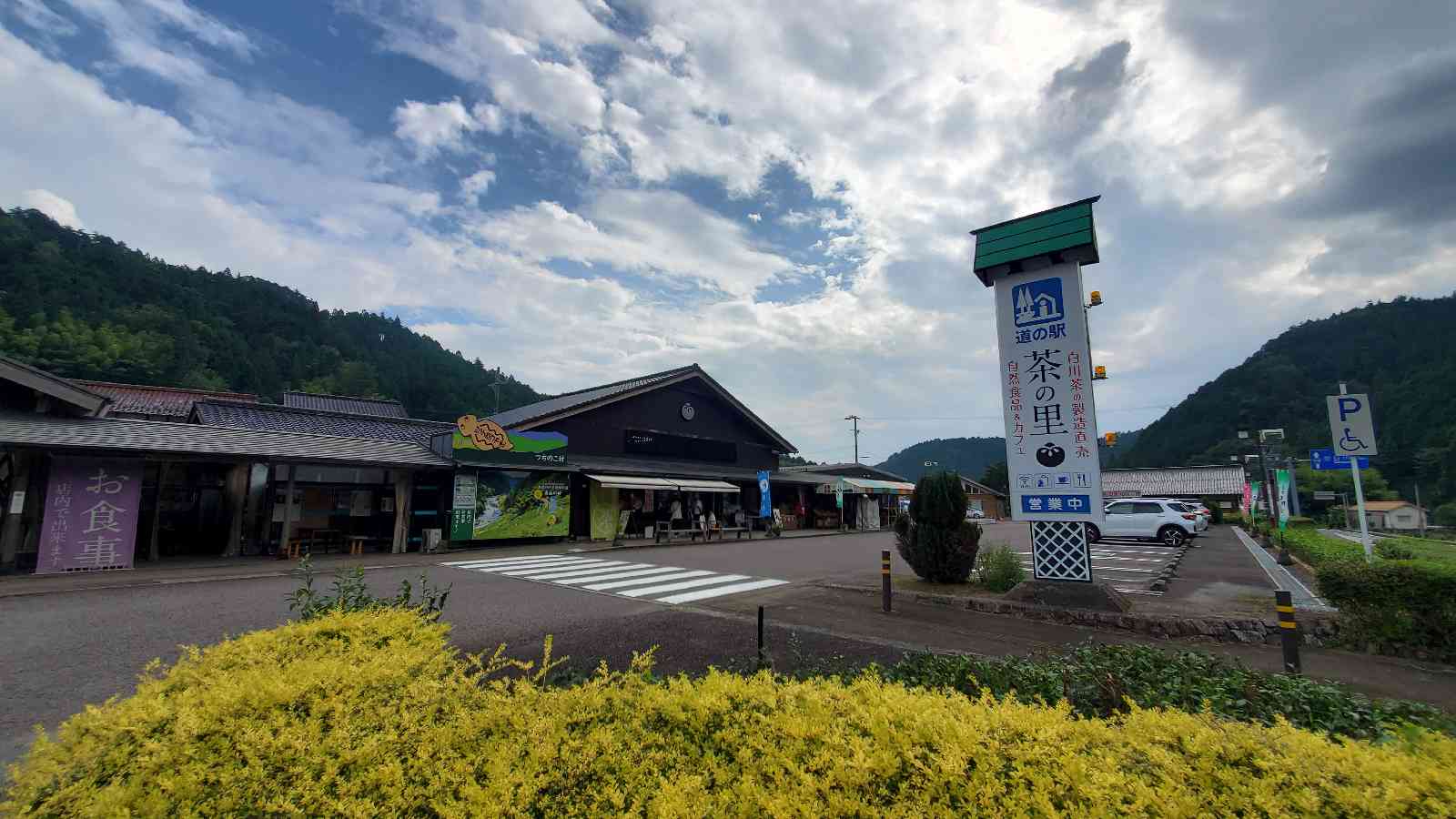 投稿された画像