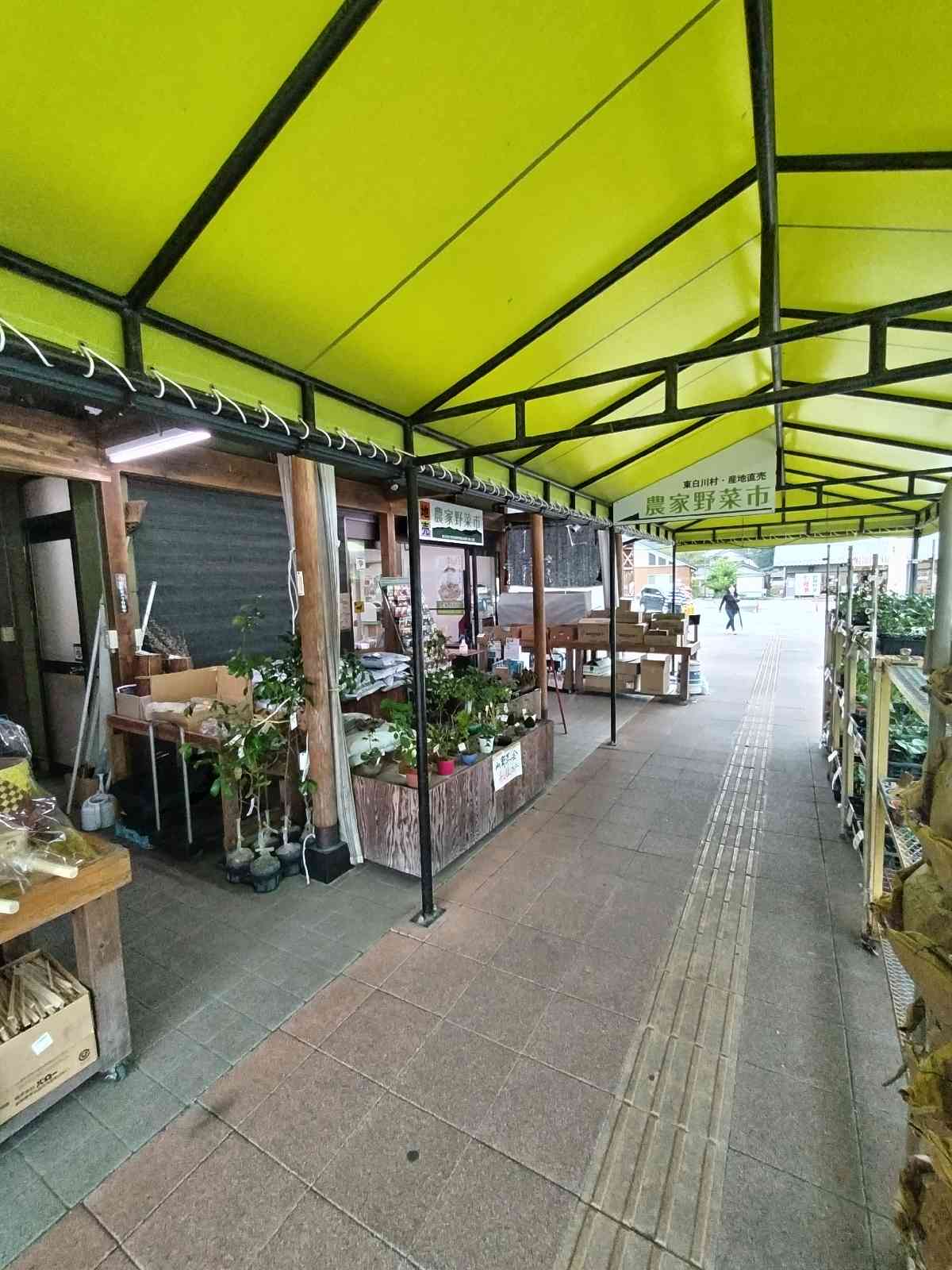 投稿された画像