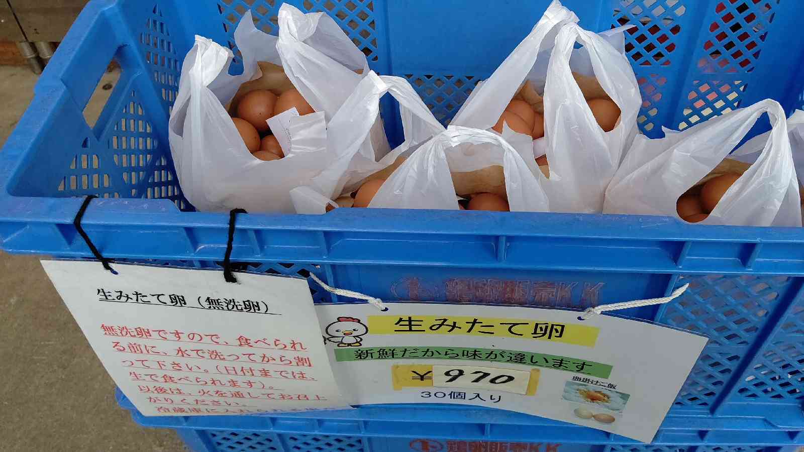 投稿された画像