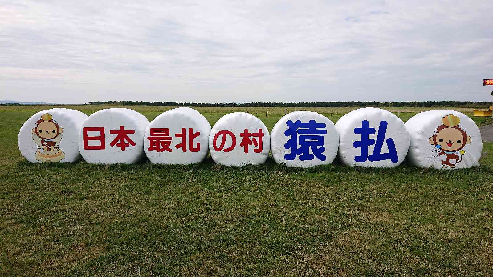 投稿された画像