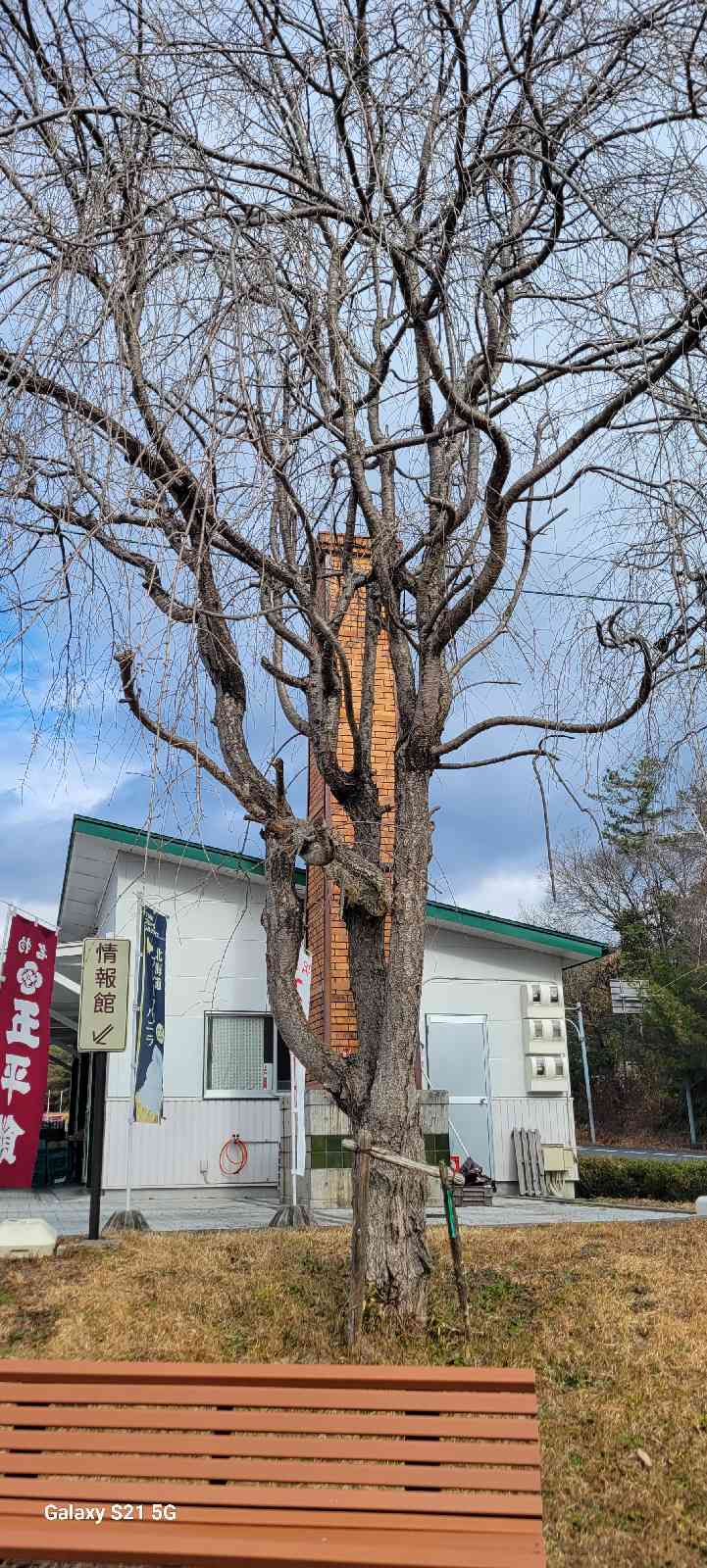 道の駅 志野・織部の写真