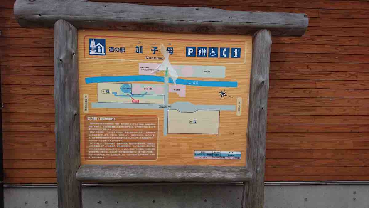 投稿された画像