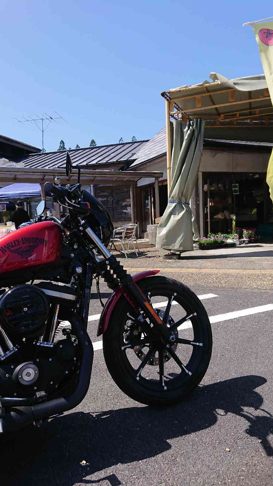 投稿された画像