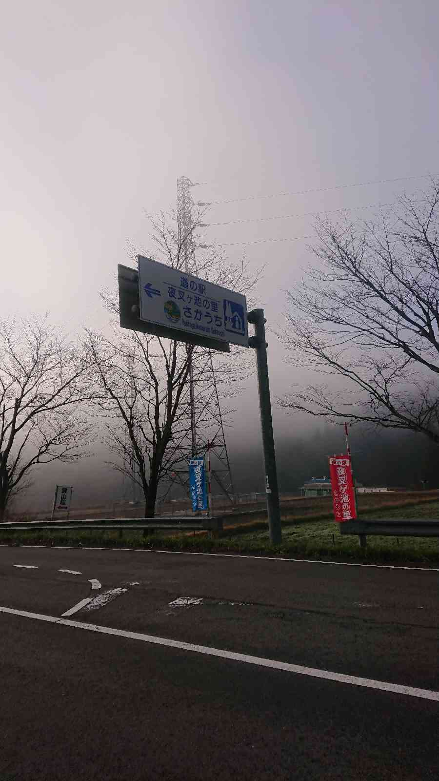 投稿された画像