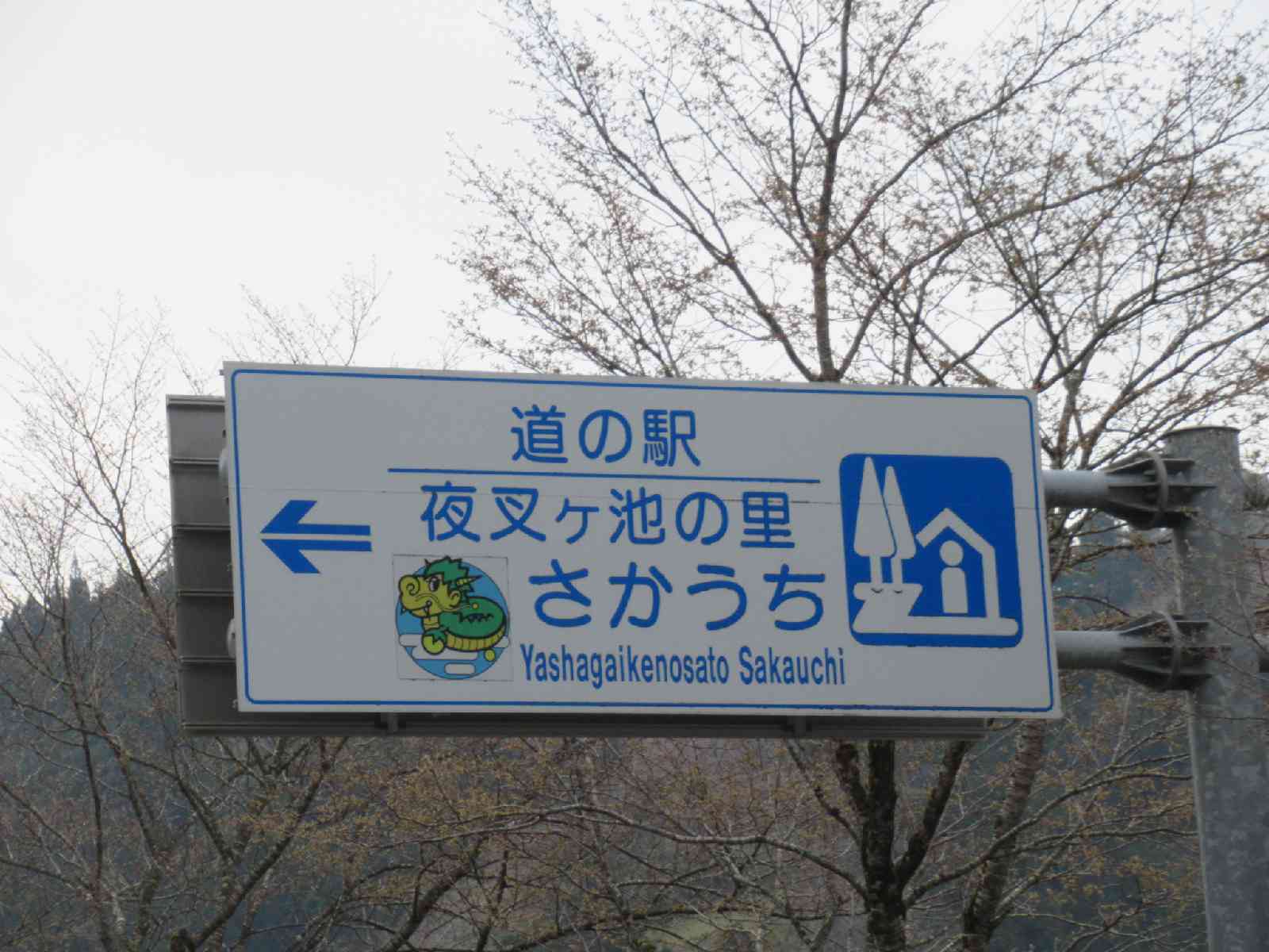 道の駅 夜叉ヶ池の里さかうちの写真