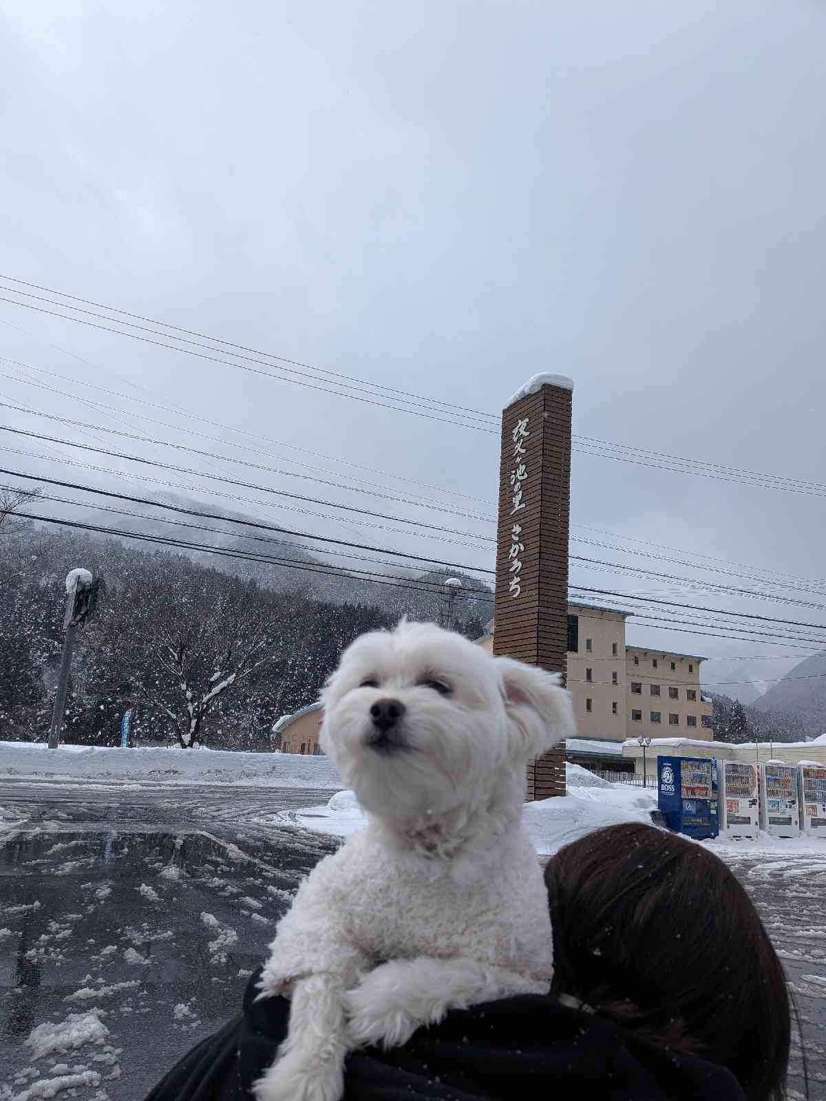 道の駅 夜叉ヶ池の里さかうちの写真
