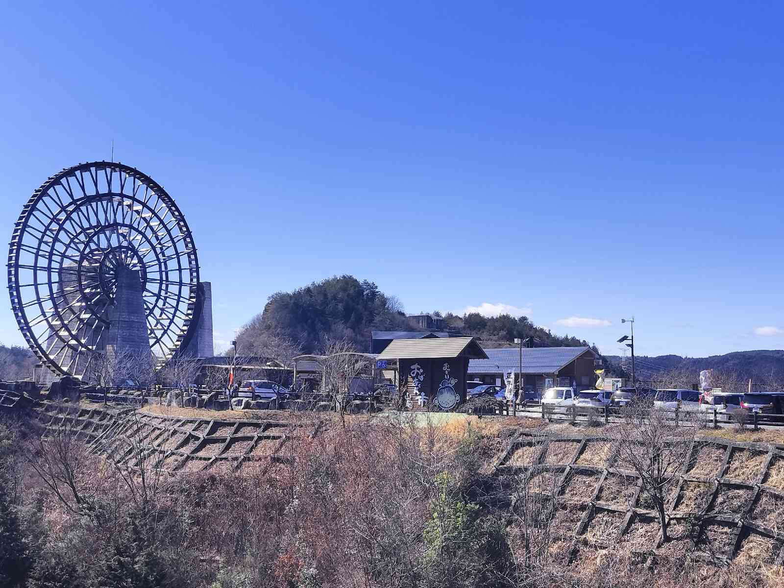 投稿された画像