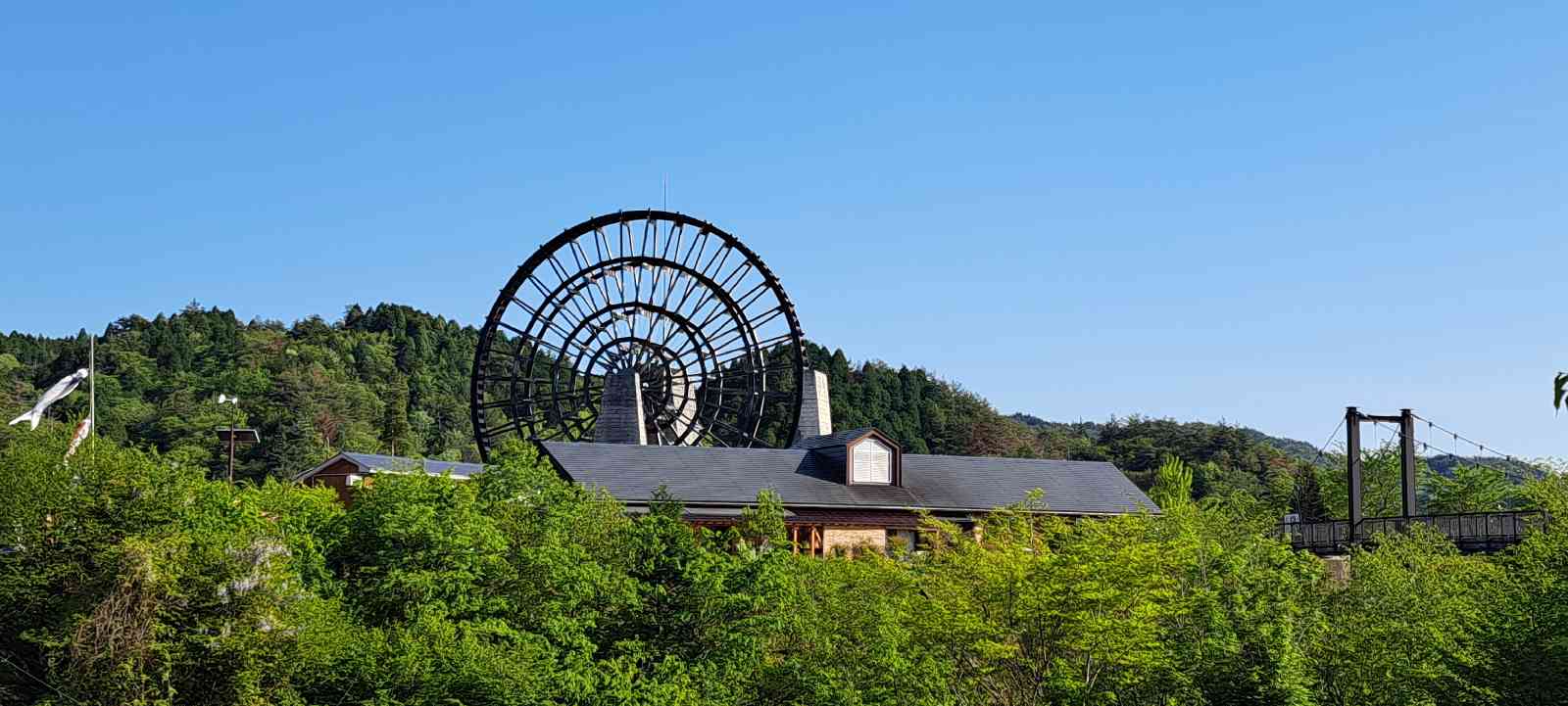 投稿された画像