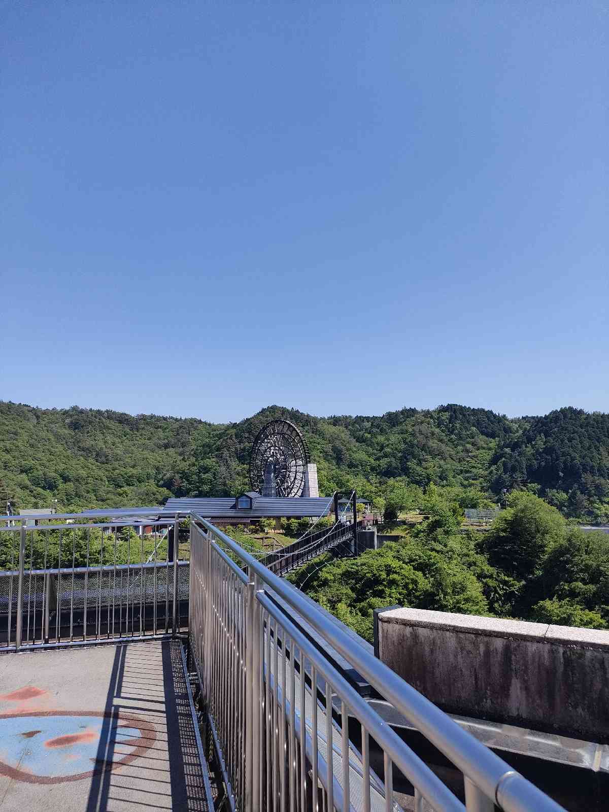 投稿された画像