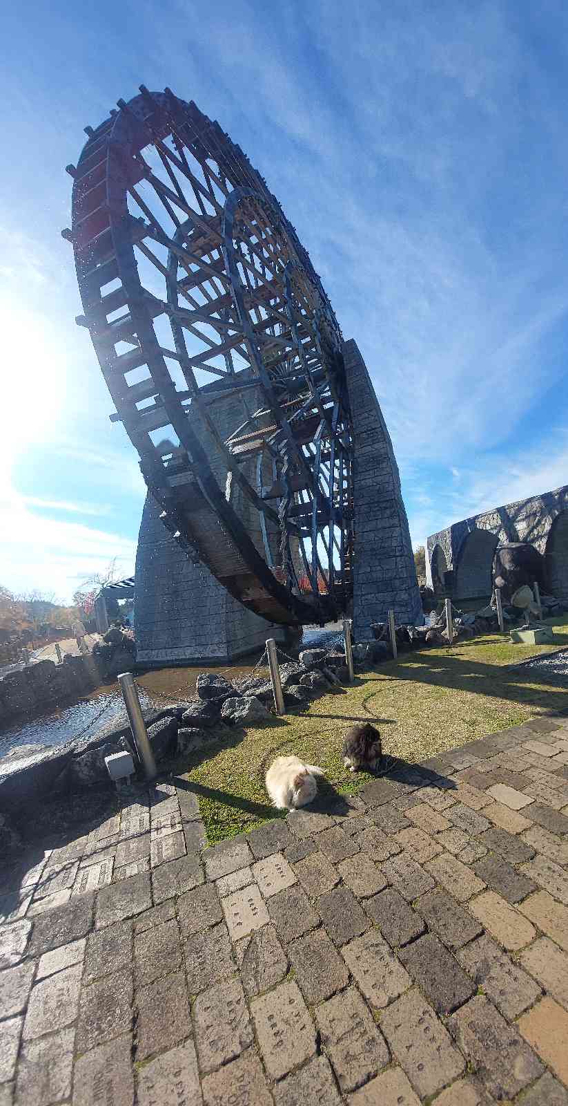 道の駅 おばあちゃん市・山岡の写真