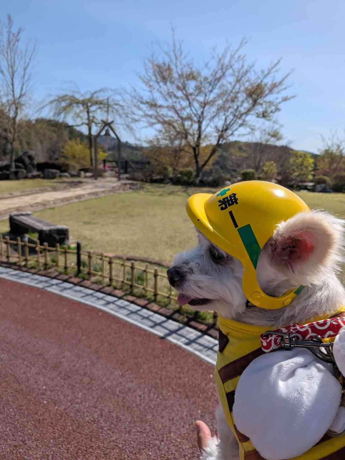 道の駅 おばあちゃん市・山岡の写真
