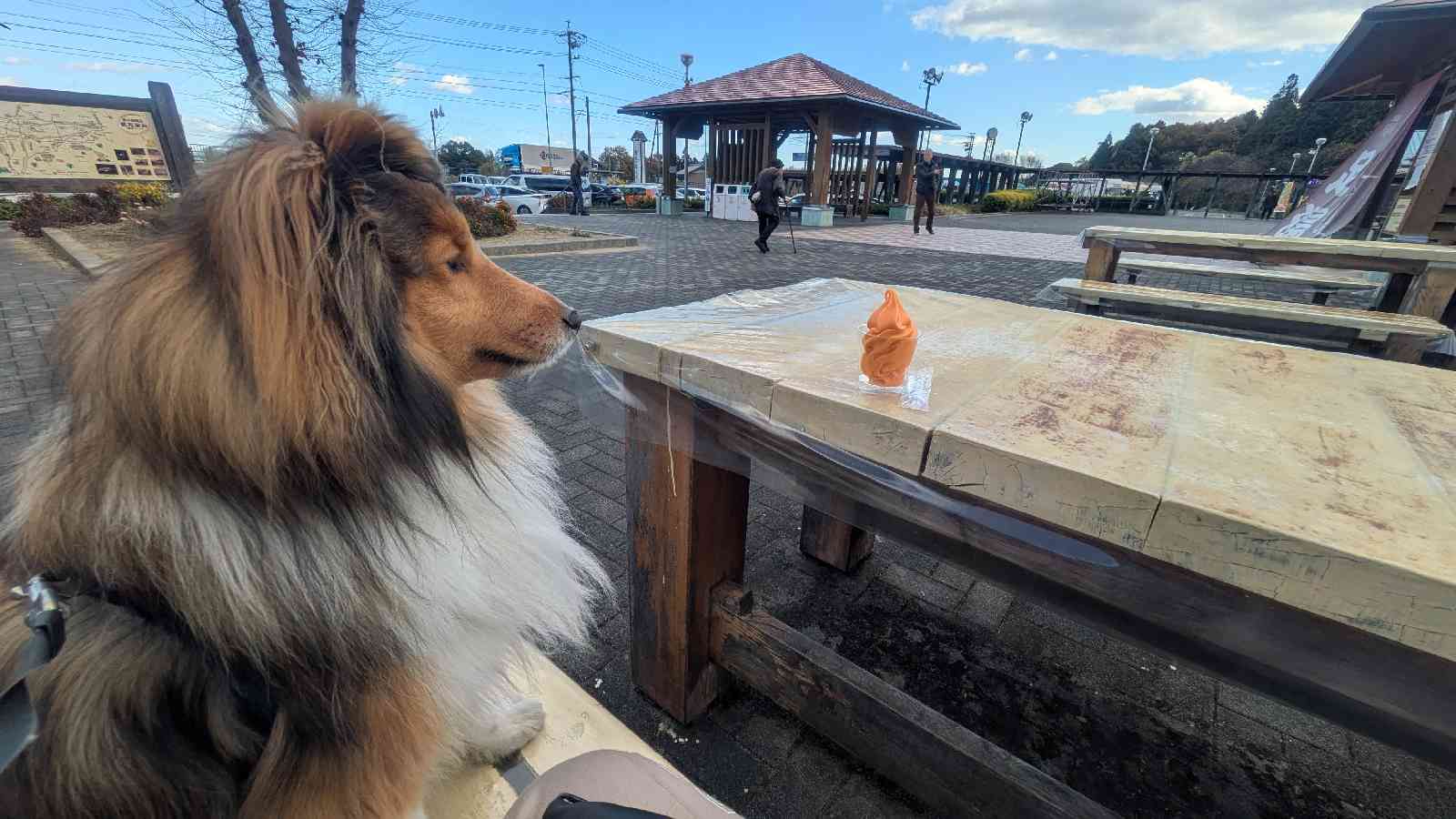 道の駅 月見の里　南濃の写真