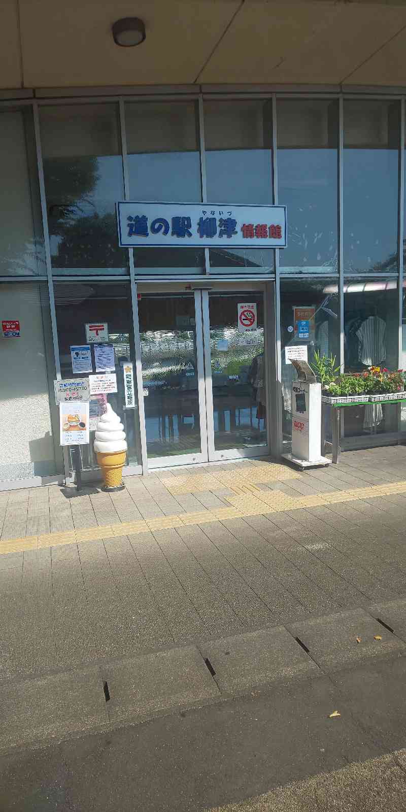 投稿された画像